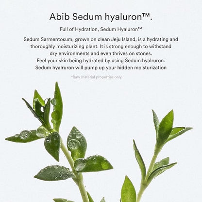 Abib Sedum Hyaluron Pad Hydrating Touch (75pads)