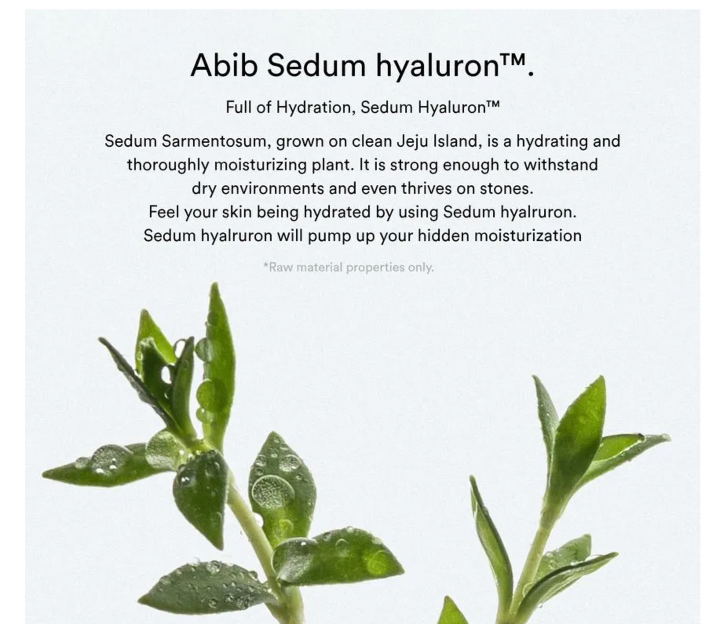 Abib Sedum Hyaluron Creme - Hydrating Pot 80ml